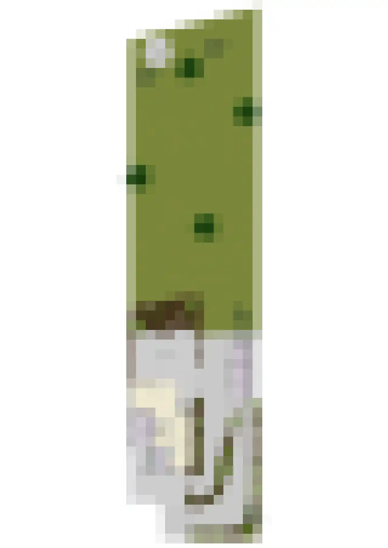 Het Antlant 4 Huissen thumbnail 109