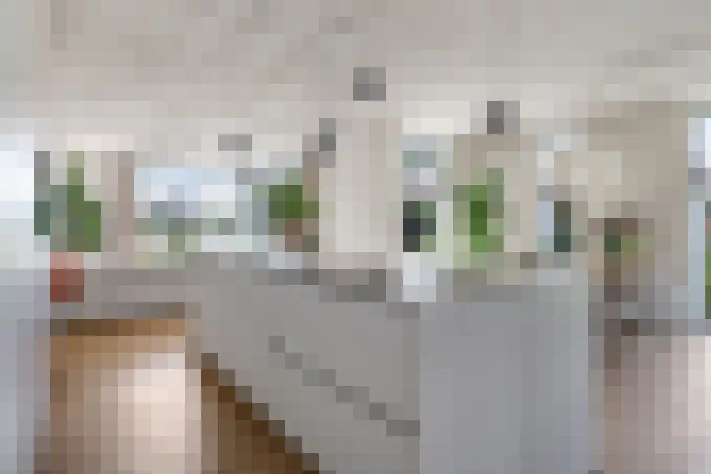 Het Antlant 4 Huissen thumbnail 16