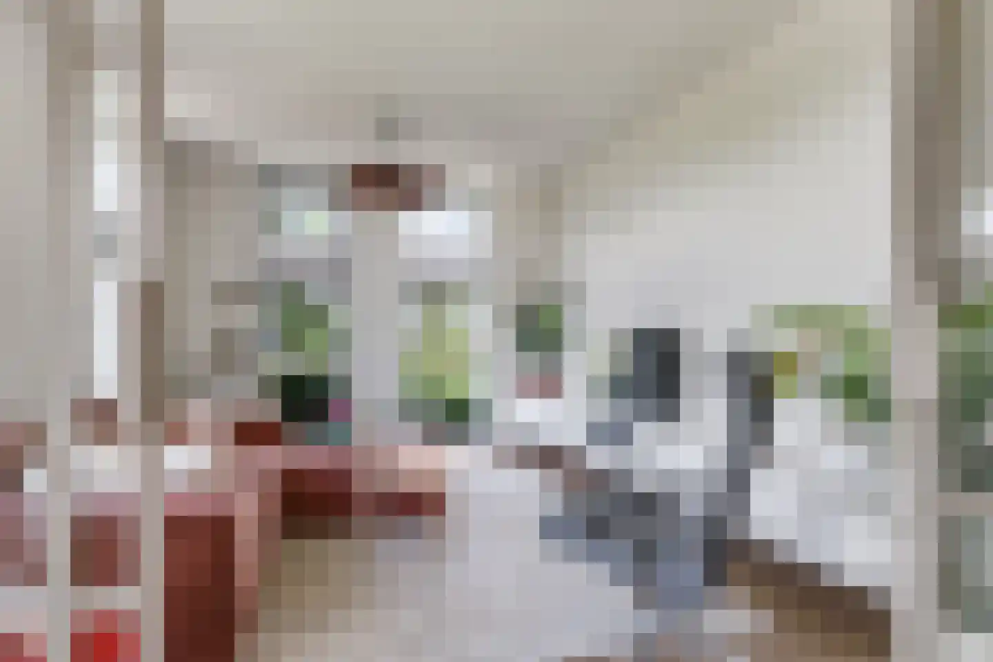 Het Antlant 4 Huissen thumbnail 20
