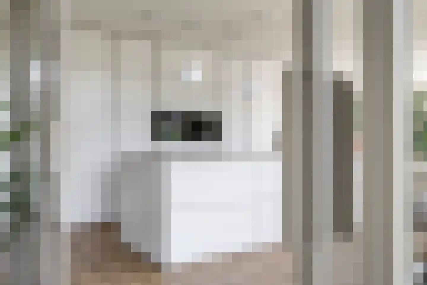 Het Antlant 4 Huissen thumbnail 28