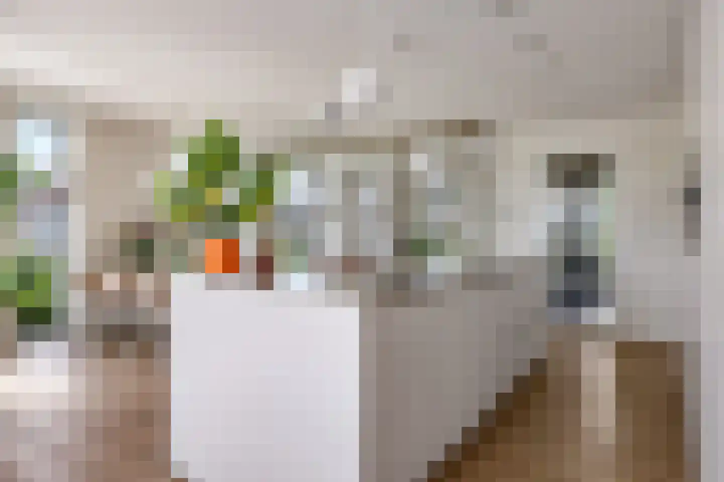 Het Antlant 4 Huissen foto 3