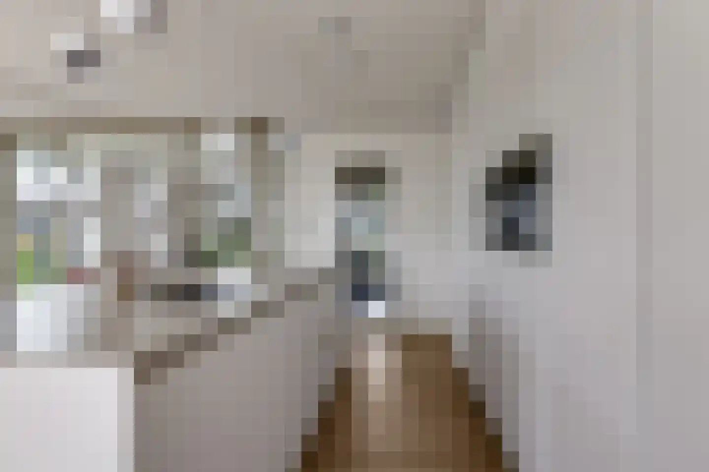 Het Antlant 4 Huissen thumbnail 33