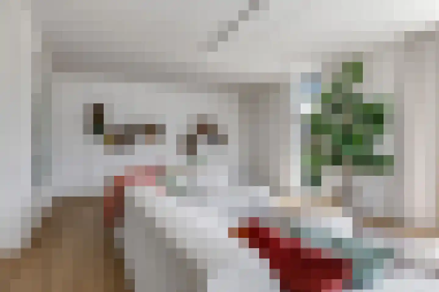 Het Antlant 4 Huissen thumbnail 37
