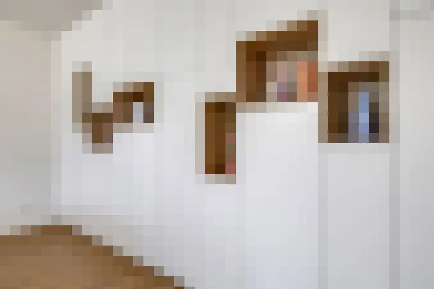 Het Antlant 4 Huissen thumbnail 39