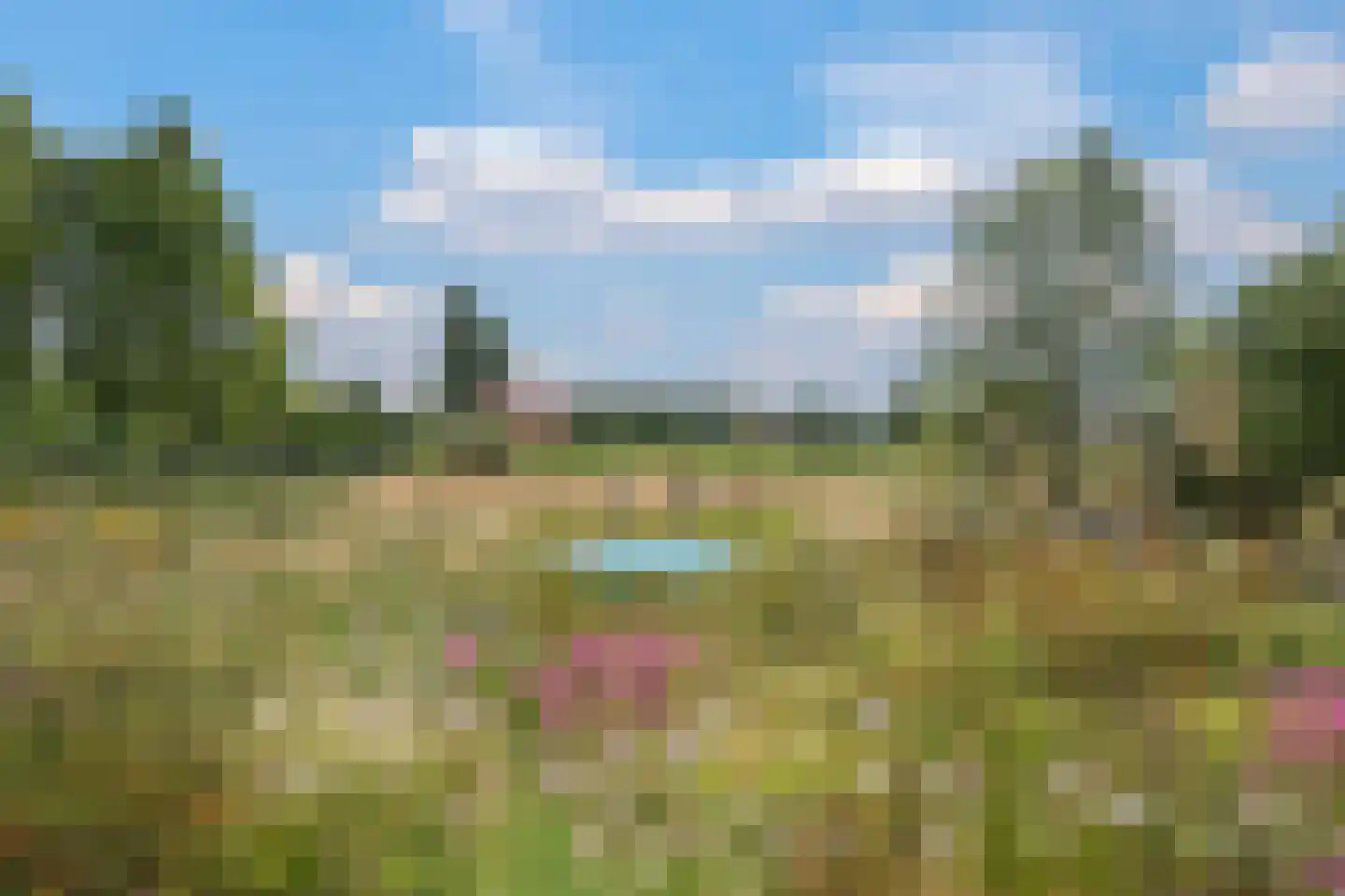 Het Antlant 4 Huissen thumbnail 4