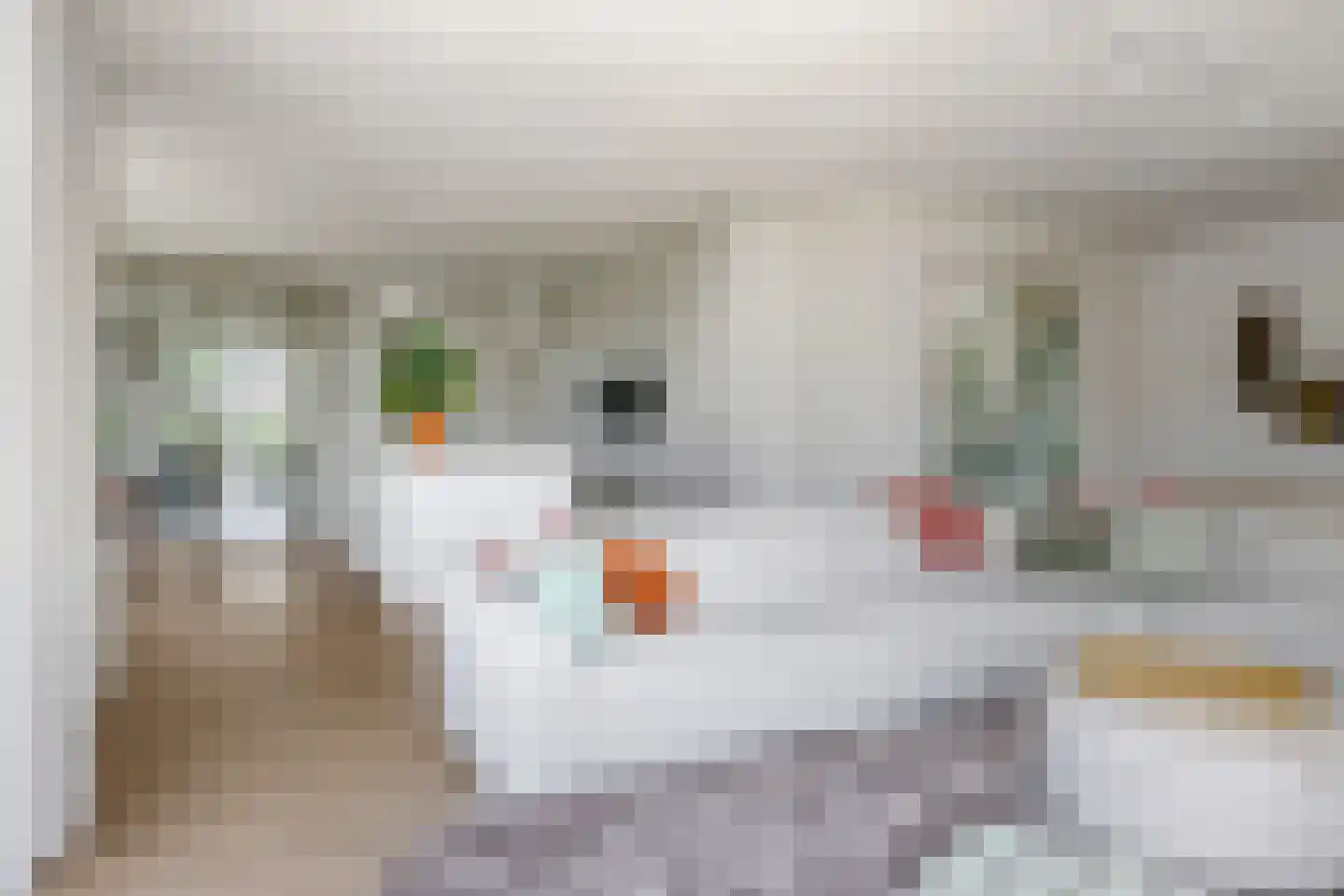 Het Antlant 4 Huissen thumbnail 43