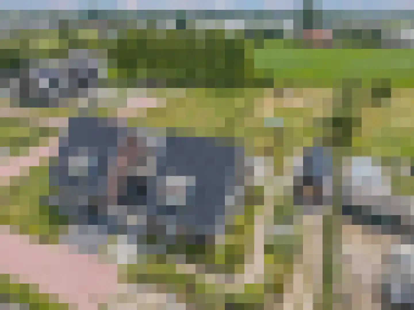 Het Antlant 4 Huissen thumbnail 5