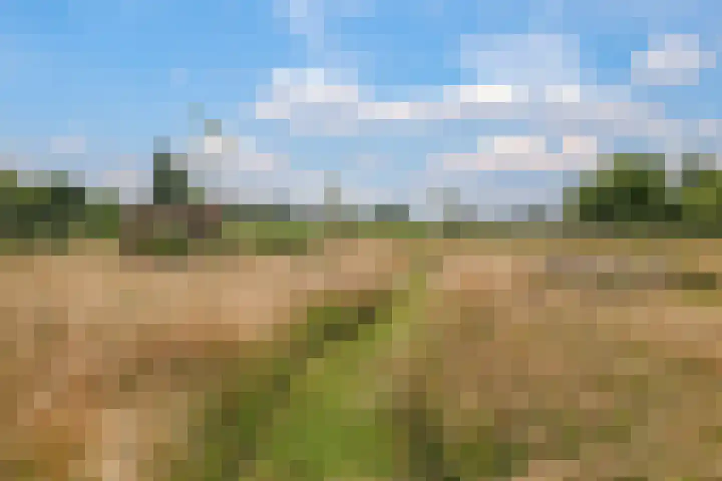 Het Antlant 4 Huissen thumbnail 71