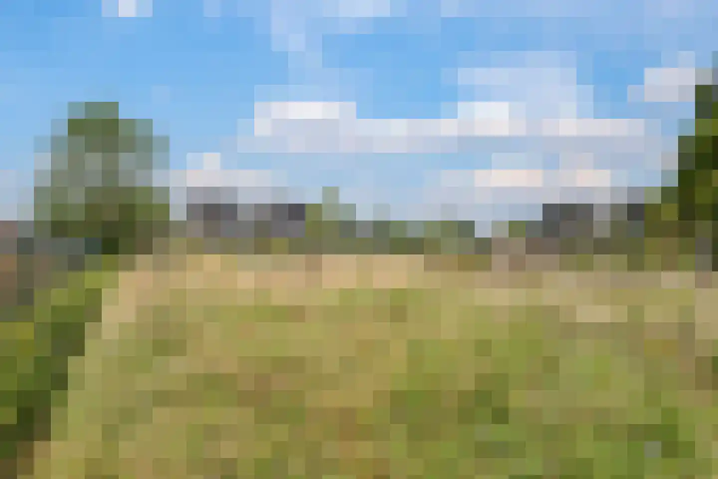 Het Antlant 4 Huissen thumbnail 72