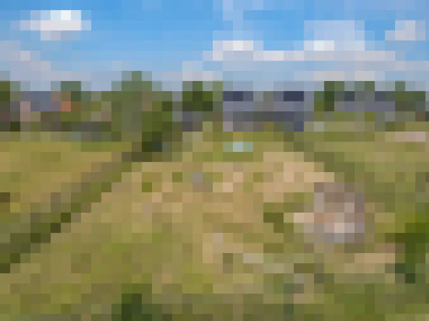 Het Antlant 4 Huissen thumbnail 77