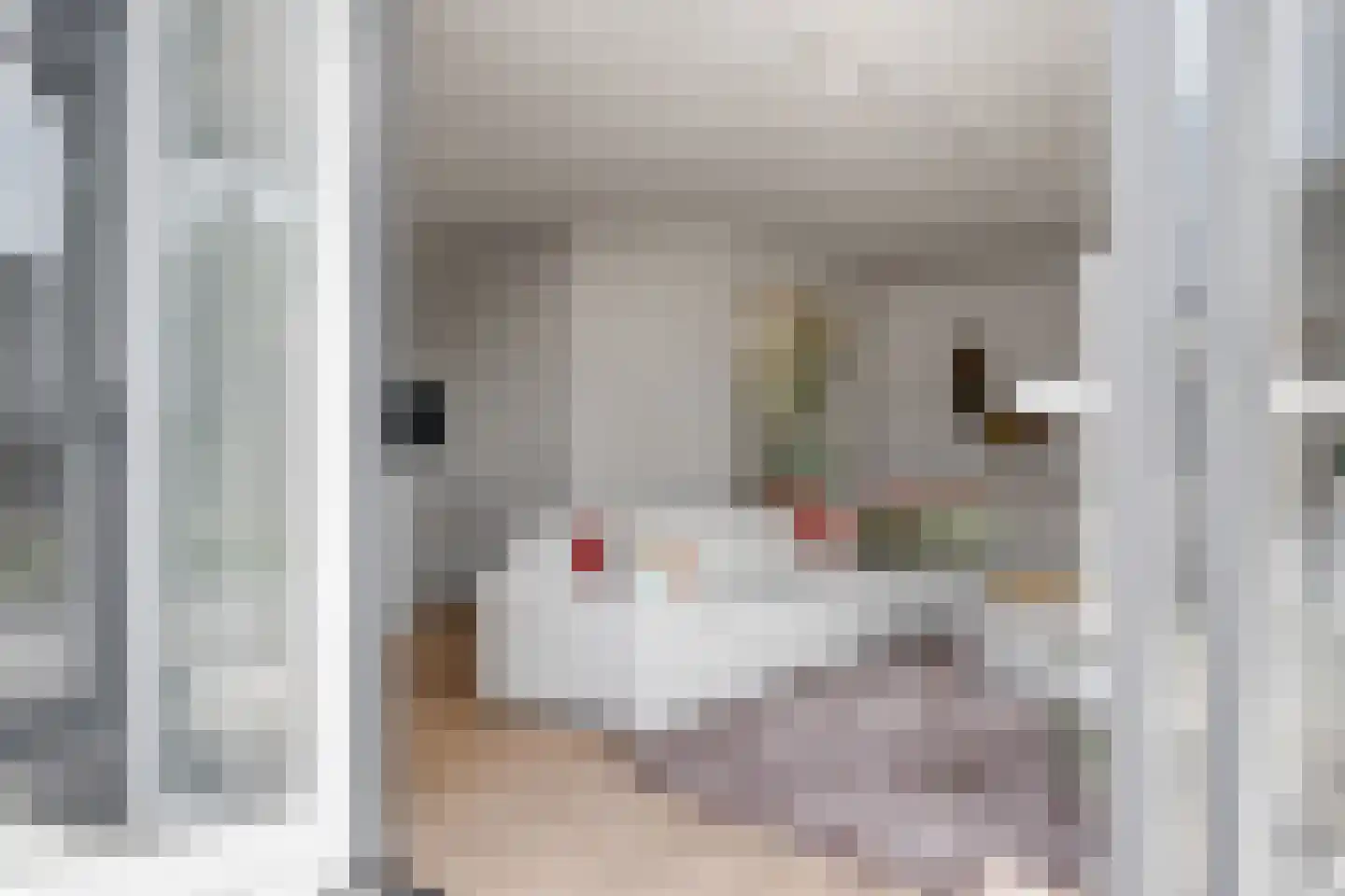 Het Antlant 4 Huissen thumbnail 79
