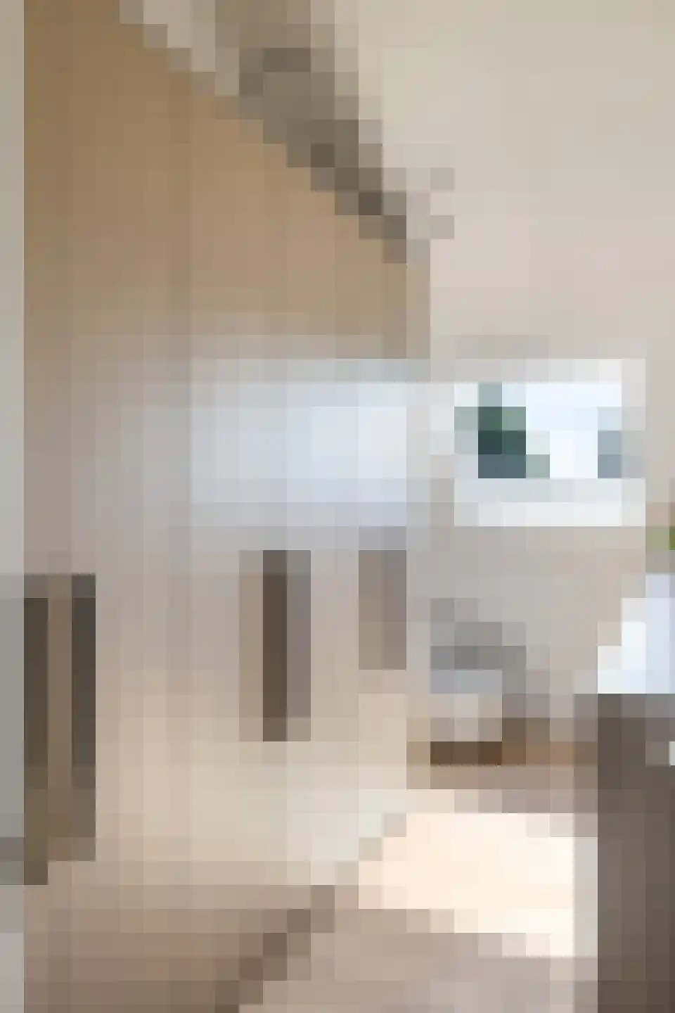 Het Antlant 4 Huissen thumbnail 91