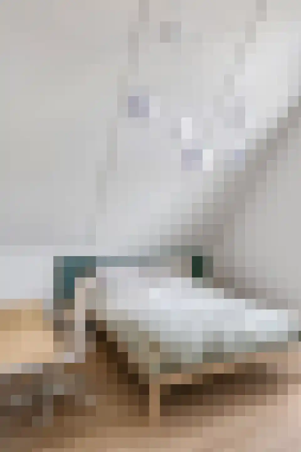 Het Antlant 4 Huissen thumbnail 92