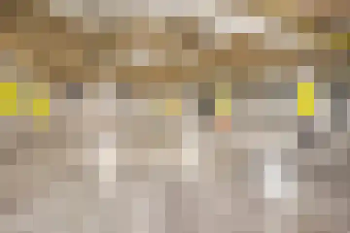 Het Avontuur 29 Amersfoort thumbnail 25