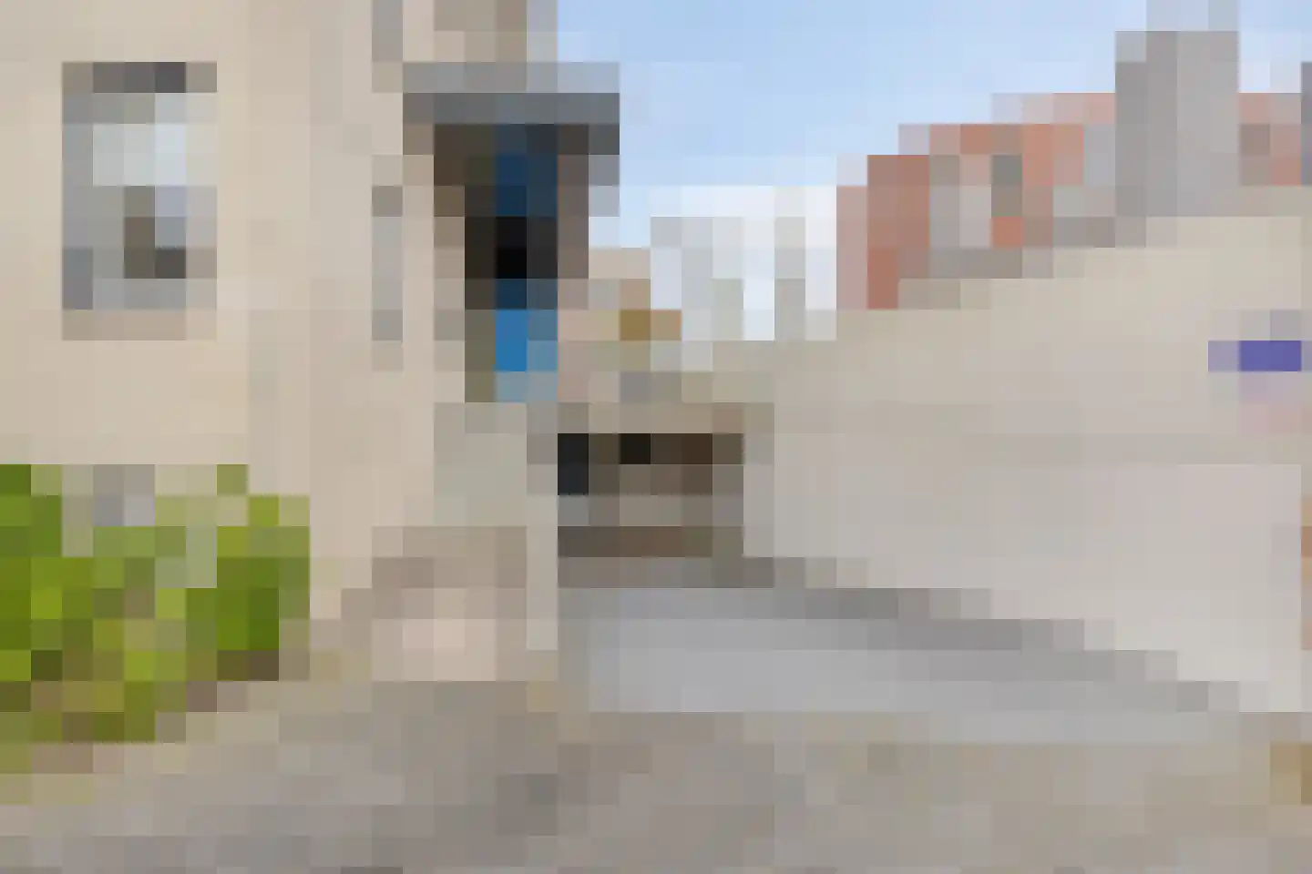 Het Avontuur 29 Amersfoort thumbnail 26