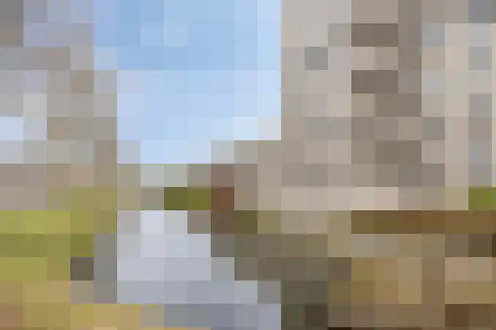 Het Avontuur 29 Amersfoort thumbnail 27