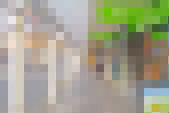 Het Avontuur 29 Amersfoort thumbnail 34