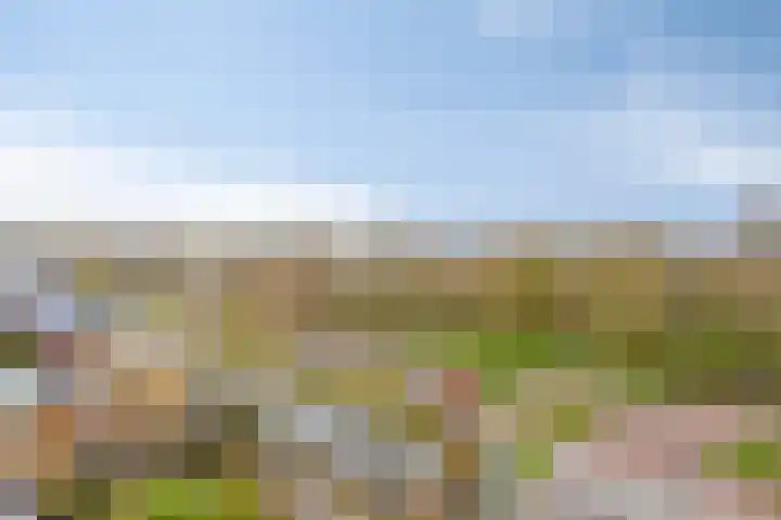 Het Avontuur 29 Amersfoort thumbnail 8