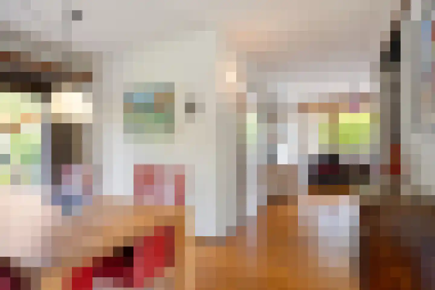 Het Baken 11 Leek thumbnail 13