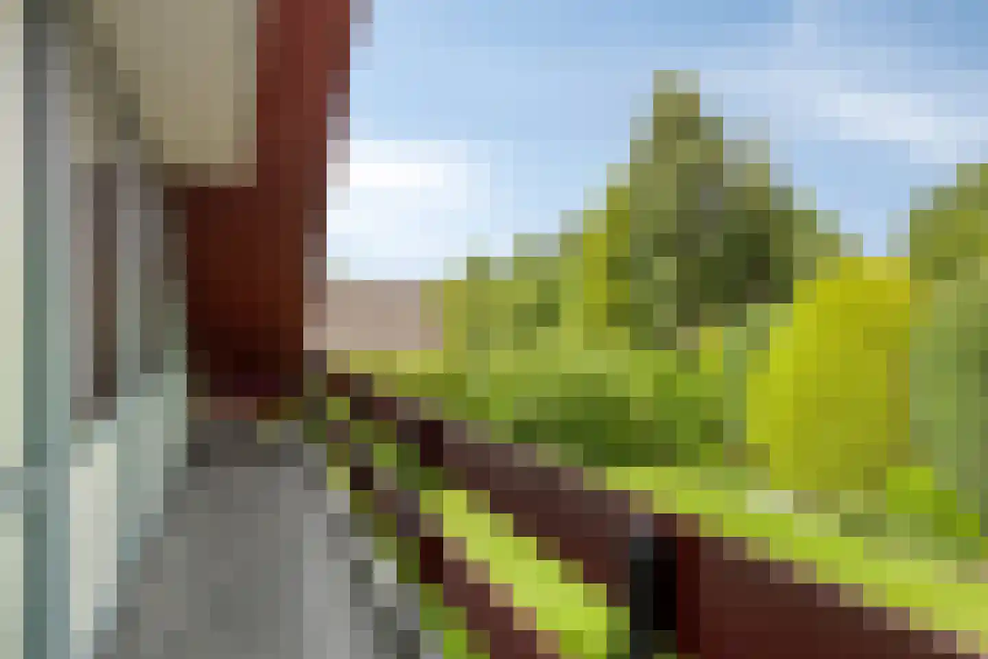 Het Baken 11 Leek thumbnail 25