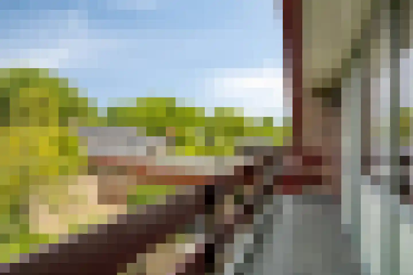 Het Baken 11 Leek thumbnail 26