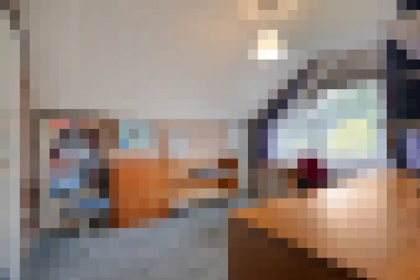 Het Baken 11 Leek thumbnail 29