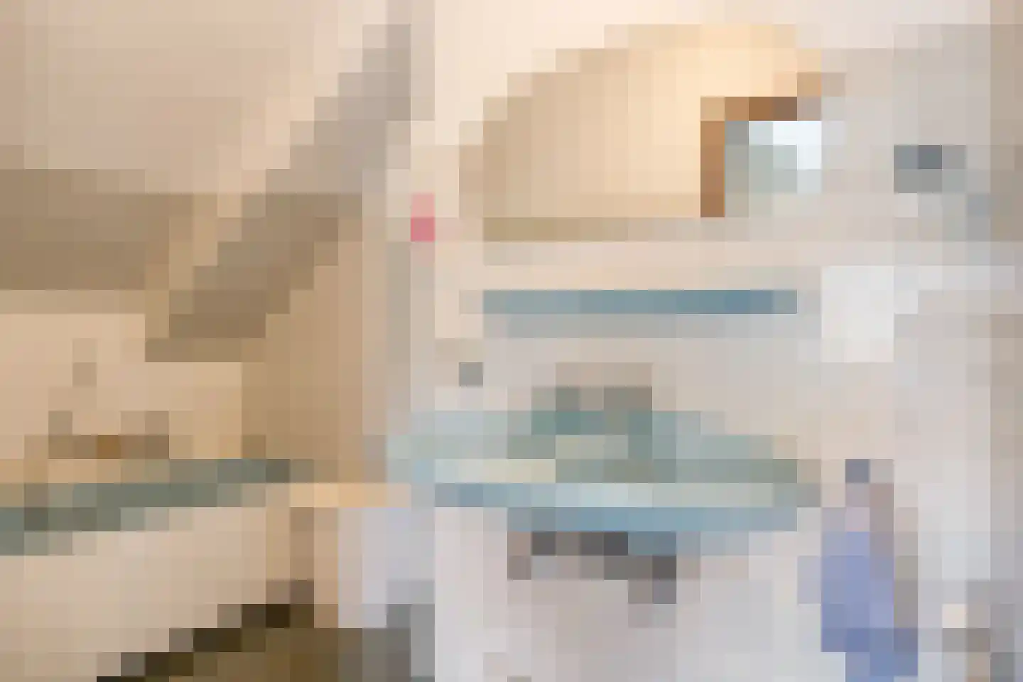 Het Baken 11 Leek thumbnail 33