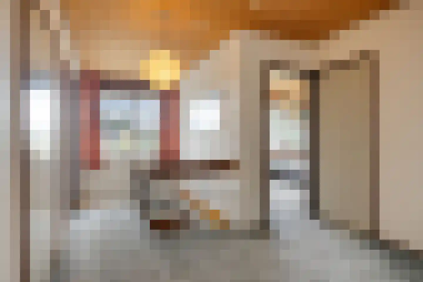 Het Baken 11 Leek thumbnail 36