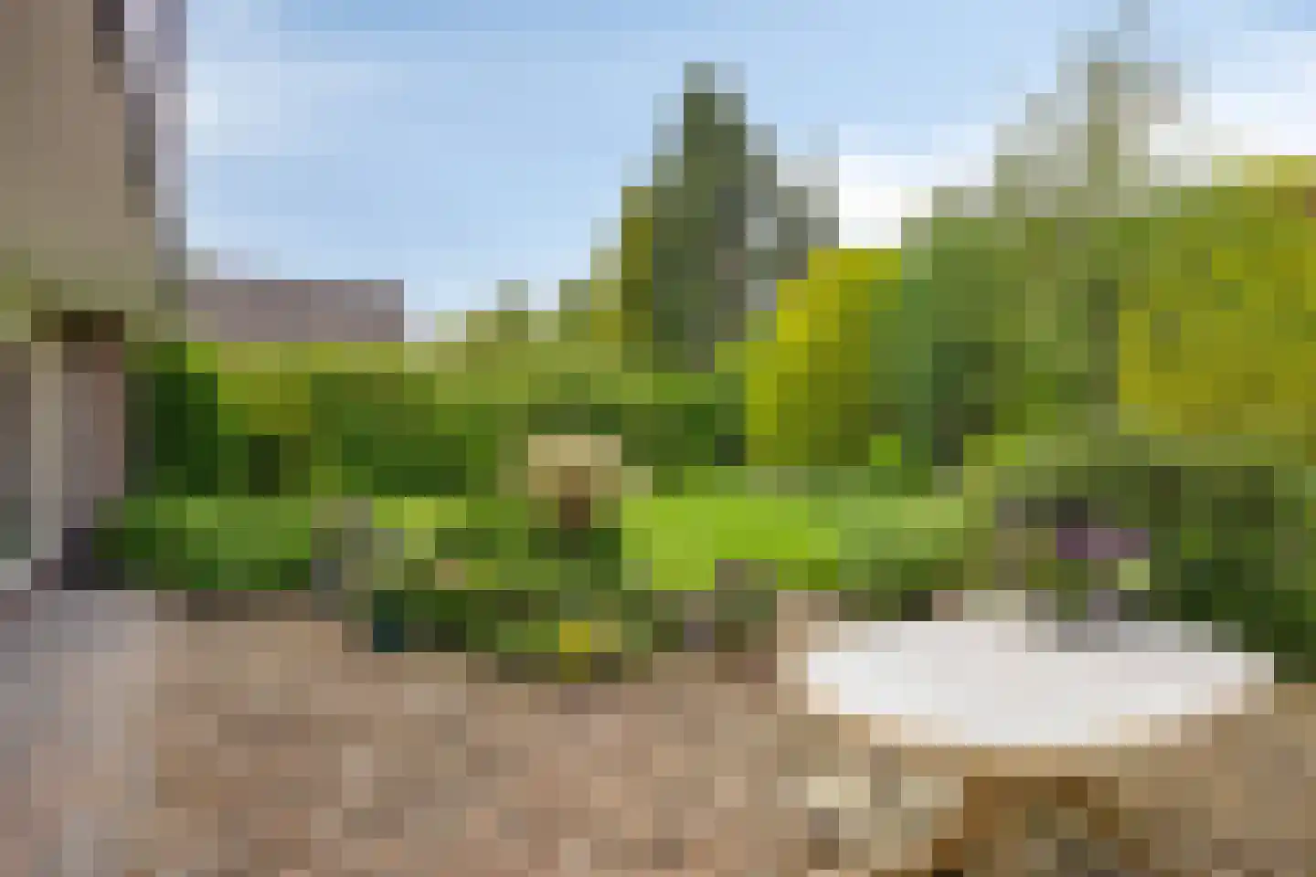Het Baken 11 Leek thumbnail 41