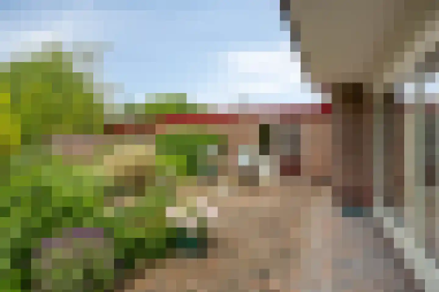 Het Baken 11 Leek thumbnail 42