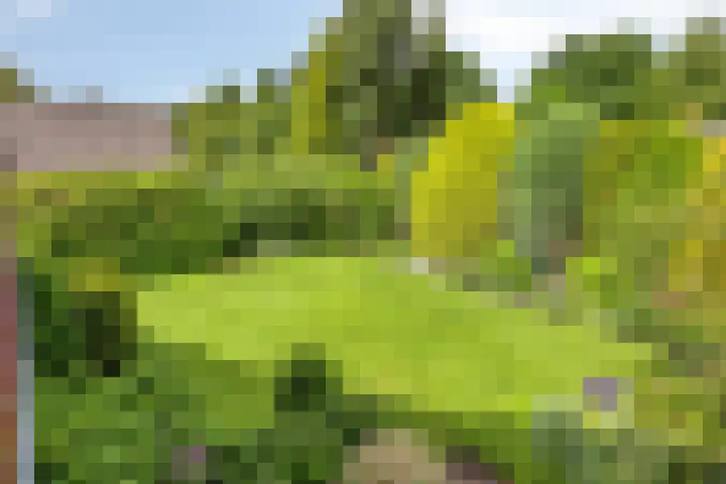 Het Baken 11 Leek thumbnail 45