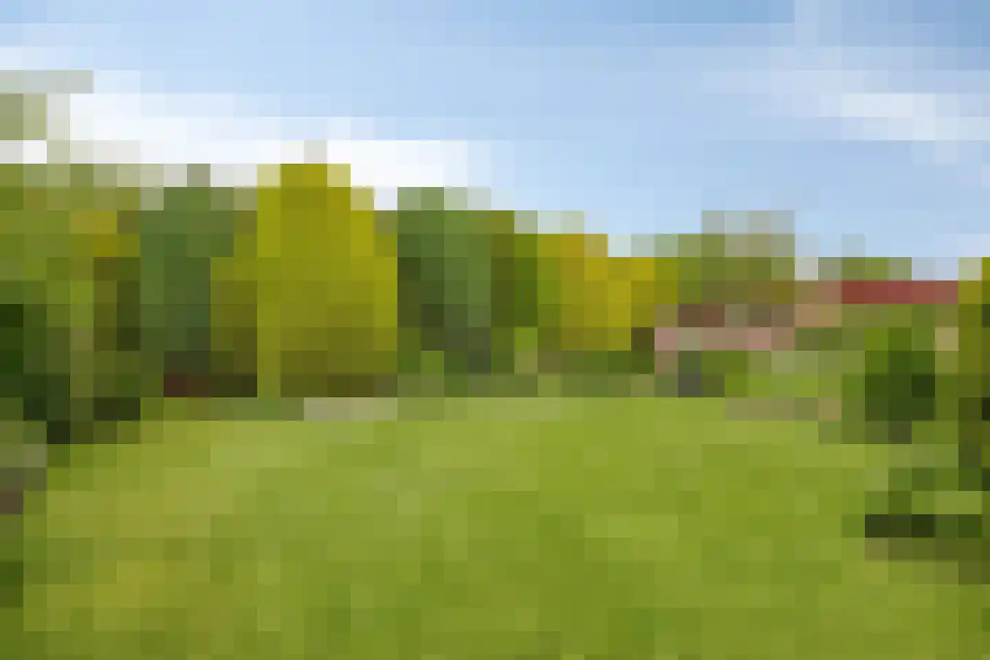 Het Baken 11 Leek thumbnail 47