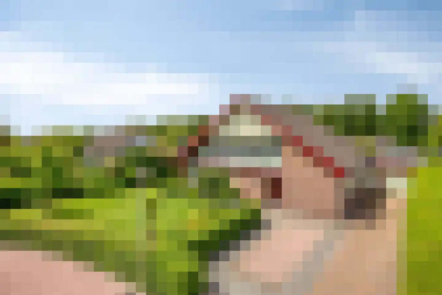 Het Baken 11 Leek thumbnail 51