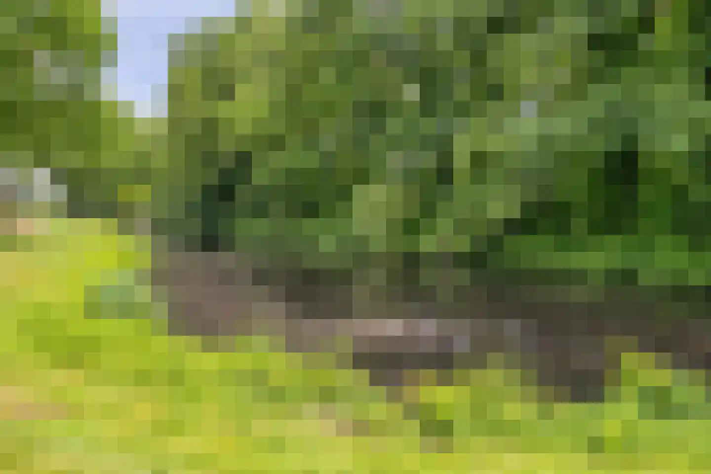 Het Baken 11 Leek thumbnail 54