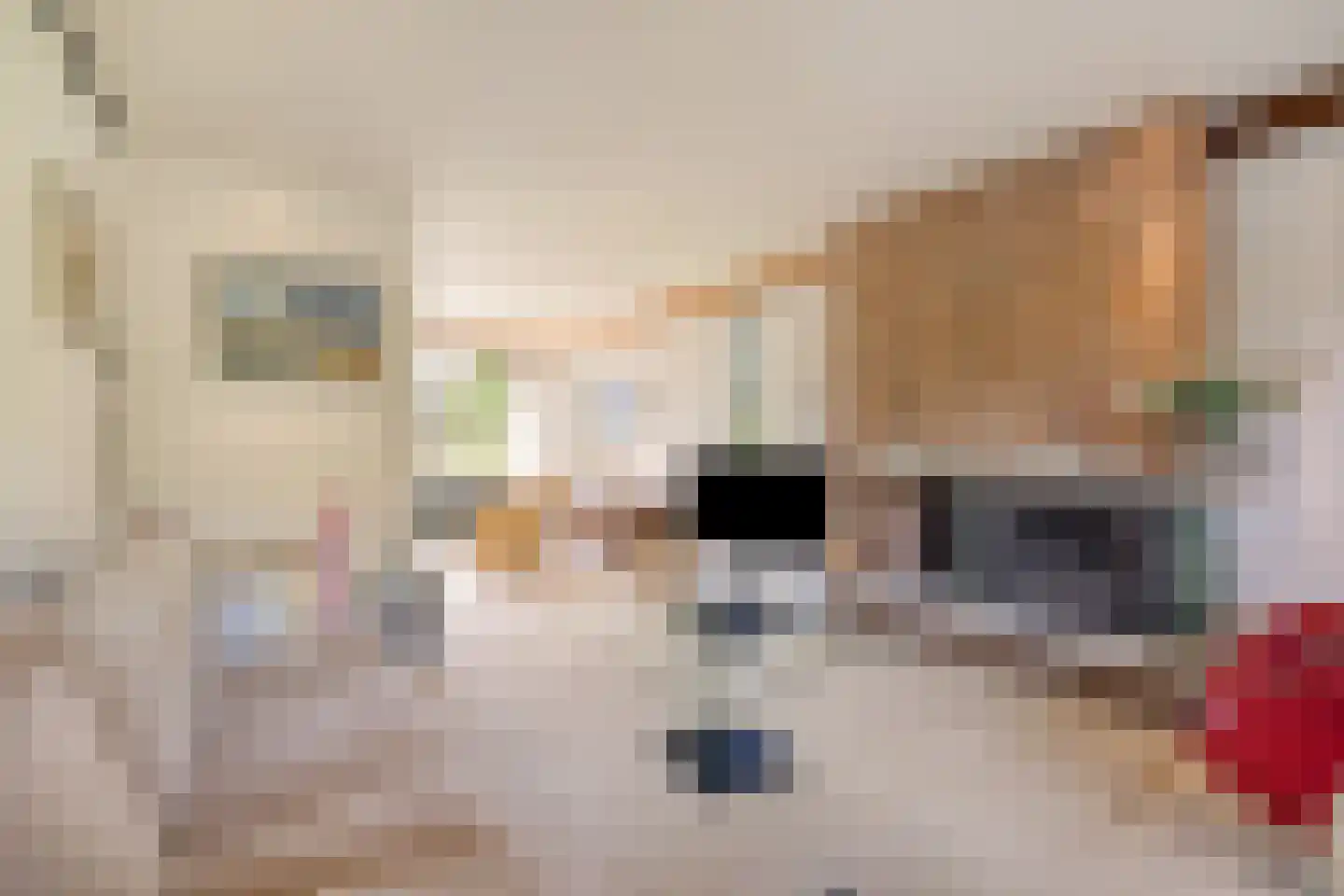 Het Baken 11 Leek thumbnail 9