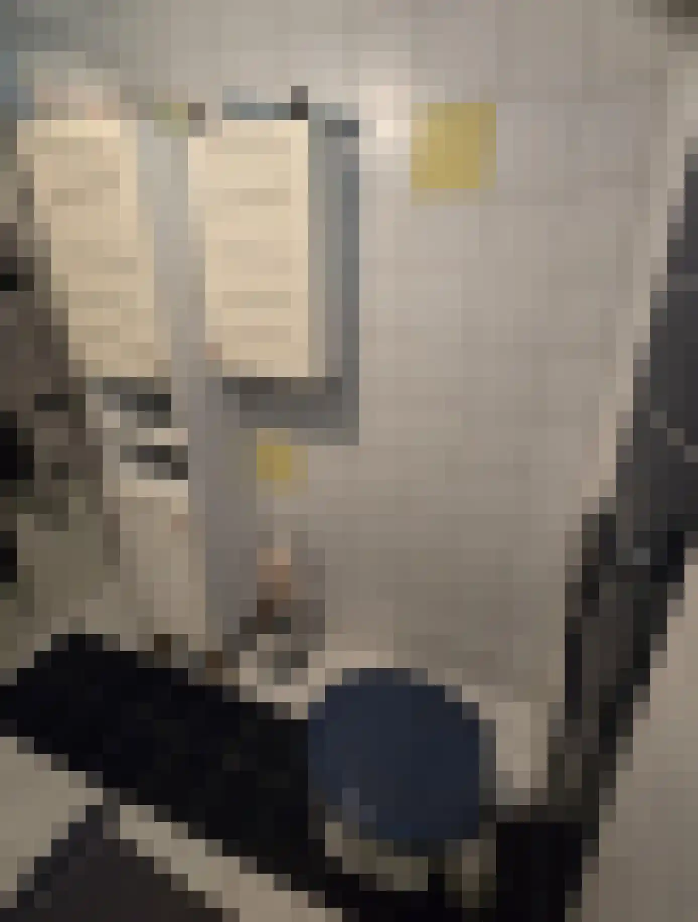 Het Baken 126 Scharendijke thumbnail 13