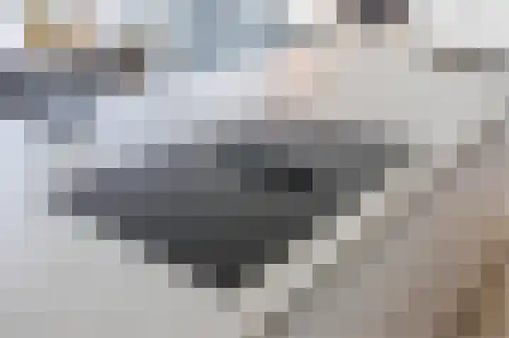Het Baken 182 Almelo thumbnail 25