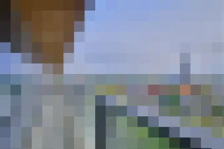 Het Baken 182 Almelo thumbnail 35