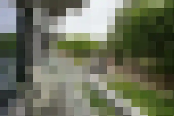 Het Baken 44 Almelo thumbnail 10
