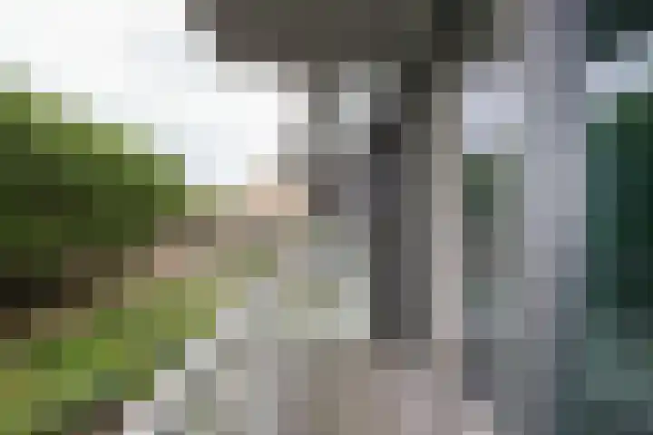 Het Baken 44 Almelo thumbnail 11