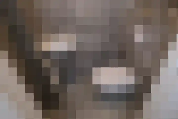 Het Baken 44 Almelo thumbnail 15