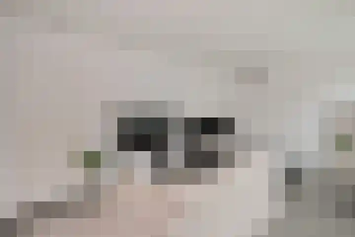 Het Baken 44 Almelo foto 2