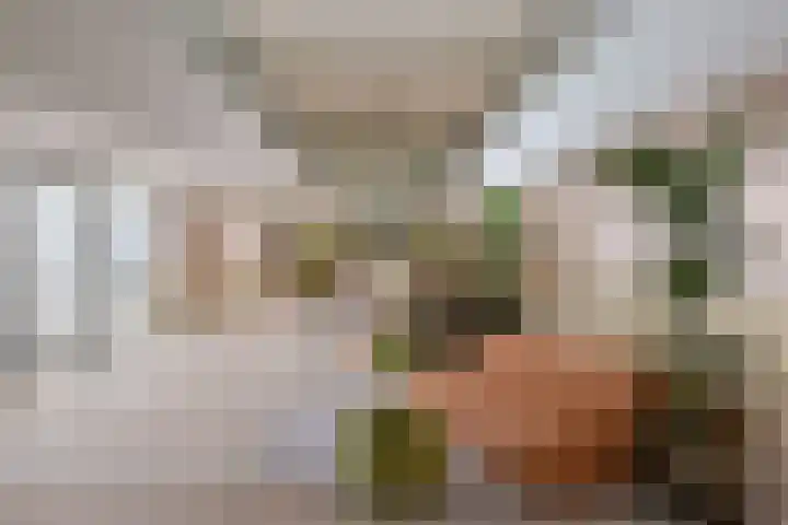 Het Baken 44 Almelo thumbnail 20