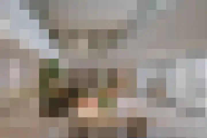 Het Baken 44 Almelo thumbnail 21