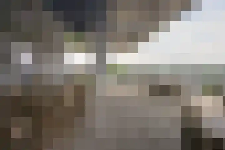 Het Baken 44 Almelo thumbnail 25