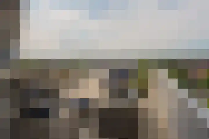 Het Baken 44 Almelo thumbnail 26