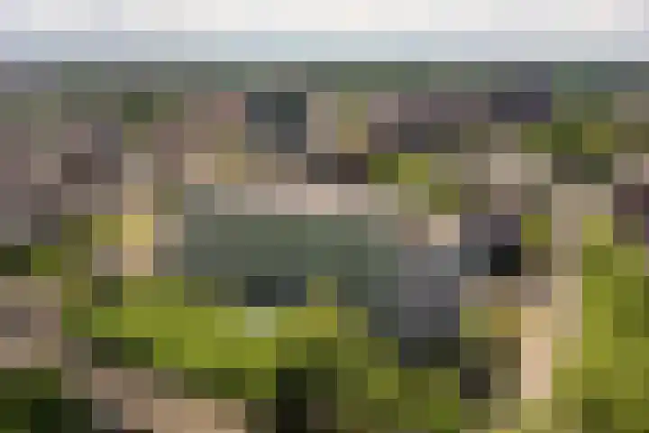 Het Baken 44 Almelo thumbnail 29