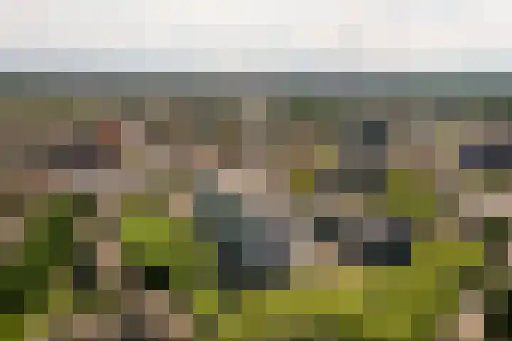 Het Baken 44 Almelo thumbnail 32