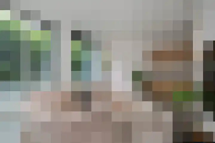 Het Baken 44 Almelo thumbnail 5