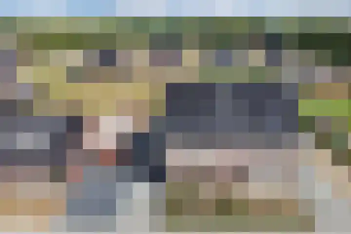 Het Baken 5 Kraggenburg thumbnail 14